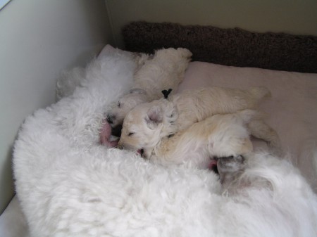 ...a stále cucáme...